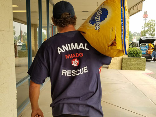 volunteer carrying dog food