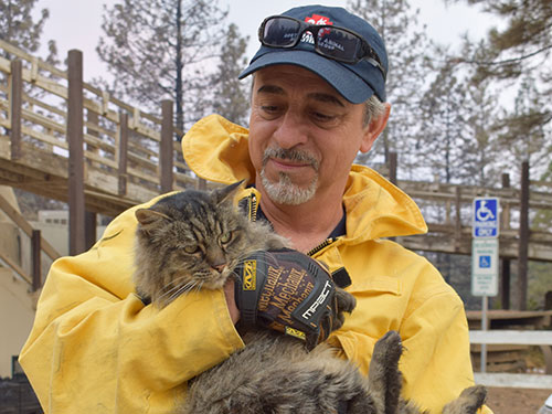 Volunteer with rescued cat