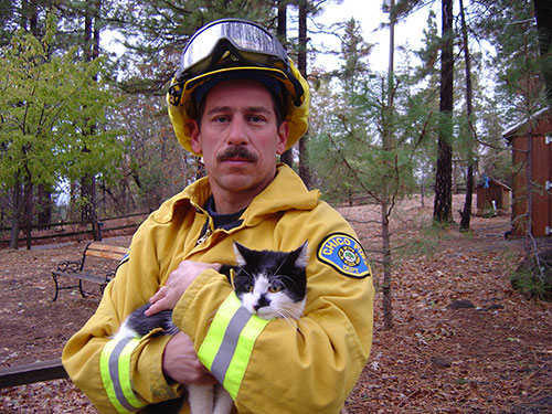 Rescue volunteer with cat