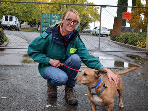 volunteer with a dog on a leash