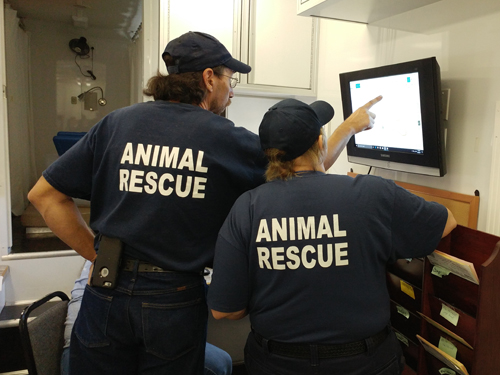 Volunteers looking at screen