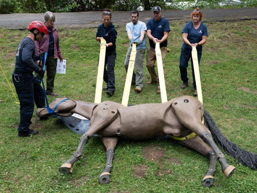 People with rescue equipment on mannequin horse