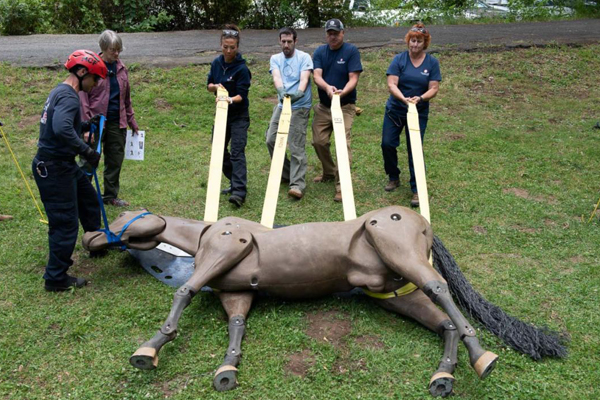 Group of people securing a horse mannequin