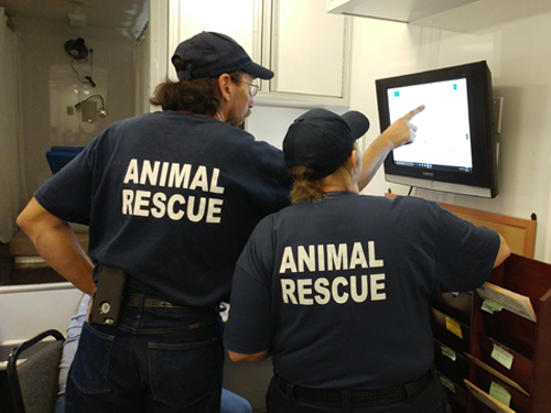Man and woman checking dispatch monitor
