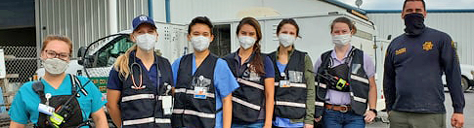 line of veterinarian professionals