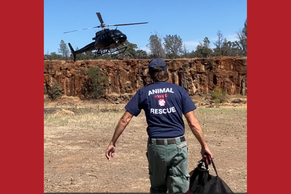 Man with duffle walking to helicopter